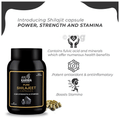 Ayukarma Pure Shilajeet Capsule (60 Each) thumbnail