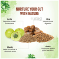 Dabur Gut Health Juice thumbnail