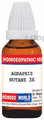 Dr. Majumder Homeo World Agraphis Nutans Dilution(30ml Each) 3X thumbnail