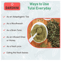 Darshini Tulsi / Tulsi Leaf | Holy Basil | Ocimum Sanctum thumbnail