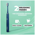 Hammer Flow 2.0 Upto 5X Better Plaque Removal 1 Handle & 2 Brushheads Toothbrush Blue thumbnail