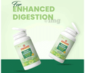 Dhanwantri Pharmaceutical Ruchi Bhaskar Digestive Churna Powder thumbnail