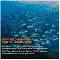 MyFitFuel Salmon Fish Oil 1000mg Soft Gelatin Capsule thumbnail