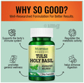 Morpheme Tulsi-Holybasil Capsule thumbnail