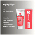 Zanskar Advanced Pain Healing Cream thumbnail
