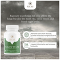 Raaj Ayurvedic Pharmacy Giloy Tulsi Ayurvedic Tablet | Boost Immunity | Respiratory Problem | Weight Loss | Joint pain | Blood Pressure thumbnail