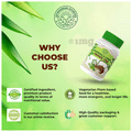 Jayshankar Ayurved Moringa Mint Green Tea thumbnail