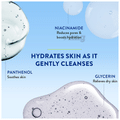 Cetaphil Gentle Skin Cleanser | For Dry to Normal, Sensitive Skin thumbnail
