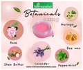 Mimansha Moringa Lip Balm Rose thumbnail