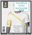 IGR Humerus with Shoulder Grey Medium thumbnail