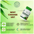 Jayshankar Ayurved Moringa Drumstick Powder thumbnail