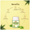 Jaived Ayurveda Kanchnar Guggulu Tablet thumbnail