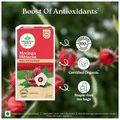 Organic India Moringa Hibiscus Green Tea thumbnail