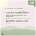 SheNeed Feminine Vaginal Douche (133ml Each) Fresh Scent thumbnail