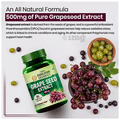 Vlado's Himalayan Organics Grape Seed Extract 500mg for Healthy Cholesterol Level thumbnail