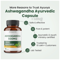 Ayuvya Ashwagandha Capsules Stress Relief, Energy Booster, Immunity Support & Muscle Strength Capsule thumbnail