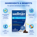 Wellman Gluten Free Health Supplement for Men with Vitamins & Minerals, Ginseng & Amino Acids | For Energy & Vitality | Nutrition Formula thumbnail