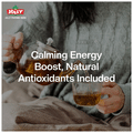 Jolly Organic Green Tea with Refreshing Lemon thumbnail