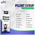 YTM Pilent Syrup | Relief from Painful & Bleeding Piles, Heals Rectal Ulcers Syrup thumbnail