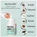 Eternal Life Ayurveda Maltica Amrit Tablet (60 Each) thumbnail