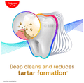 Colgate Total Anti-Tartar Toothpaste | Anti-Germ Toothpaste thumbnail