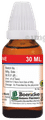 Dr. Majumder Homeo World Filix Mas Mother Tincture (30ml Each) Q thumbnail