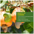 Everyday Four Cashews thumbnail