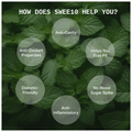 Swee10 Natural Stevia Sweetener Powder | Sugar Free | Zero Calorie Sugar Substitute (100gm Each) thumbnail