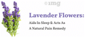 Sancha Lavender Tea Bag (1gm Each) thumbnail