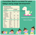 Roro Saur Nourishment-Rich Puree 6+ Months (100gm Each) Cucumber Basil thumbnail