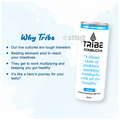 Tribe Kombucha Probiotic Sparkling Super Drink (250ml Each) Classic thumbnail