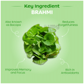Arth Brain Fog Aid Capsule | Brahmi B-Lit Bacopa | Boosts Memory, Focus & Mental Clarity thumbnail