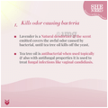 SheNeed 24 Hr Odour Control Feminine Intimate | Rescue from leakage & UTI Cream thumbnail