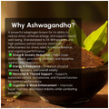 The biohackers Co. Ashwagandha | Adaptogen Support Capsule thumbnail