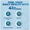 Patanjali Nutrela DailyActive | For Heart, Eye, Bones & Immunity | Capsule thumbnail