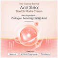 PlusPlus Anti Stria Intensive Stretch Marks Cream thumbnail