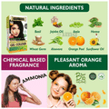 Indus Valley Organically Natural Hair Colour Gel Black thumbnail