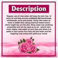 Vedic Ayurveda Rose water,Skin Toner, Makeup Remover (120ml Each) thumbnail