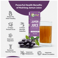 Nutriorg Jamun Juice (250ml Each) thumbnail
