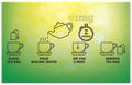 Green Tea Bag (100 Each) thumbnail
