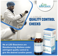 LDD Bioscience Baptisia Tinctoria Dilution (100ml Each) 30 CH thumbnail