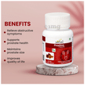 Jairishi Prostina Capsule thumbnail