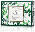 Tea Treasure Super Green Green Tea Bag thumbnail