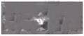 Triolmezest 40 Tablet thumbnail
