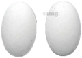 Monocef-O 100 Tablet thumbnail