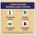 Saffola Fittify Gourmet Superfood Moringa Green Tea Lemongrass thumbnail