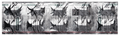 Voglistar-Plus 0.2 Tablet thumbnail