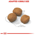 Royal Canin Giant Pet Food Starter thumbnail