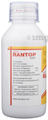 Rantop Syrup Mango thumbnail