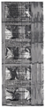 Alzil 10 Tablet thumbnail